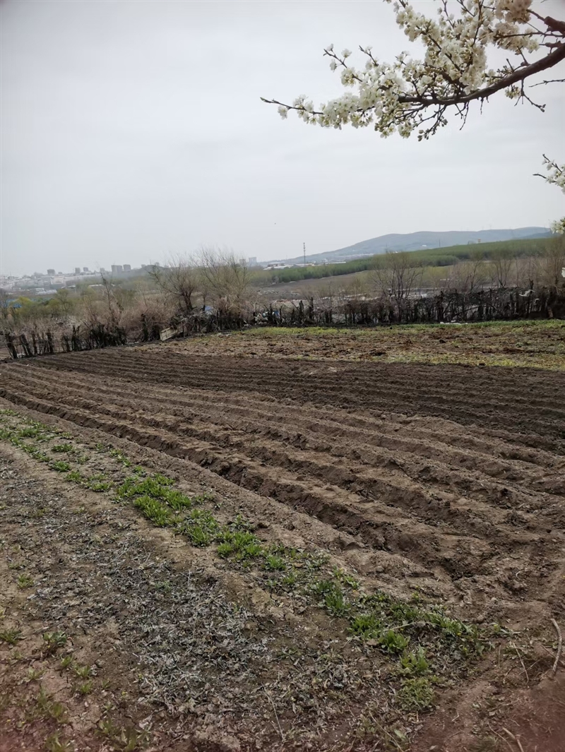 賣平房帶果園